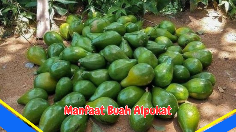 Manfaat Buah Alpukat