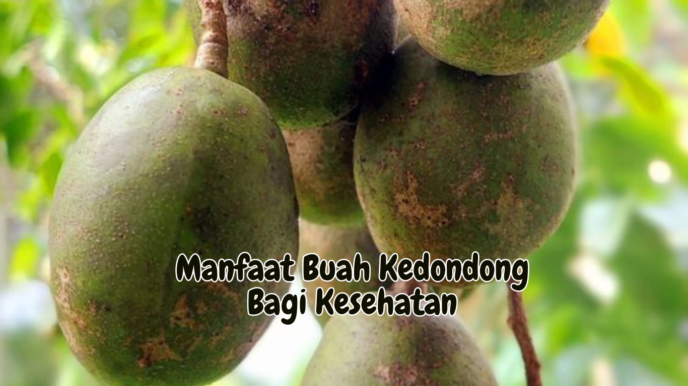 Manfaat Buah Kedondong Bagi Kesehatan