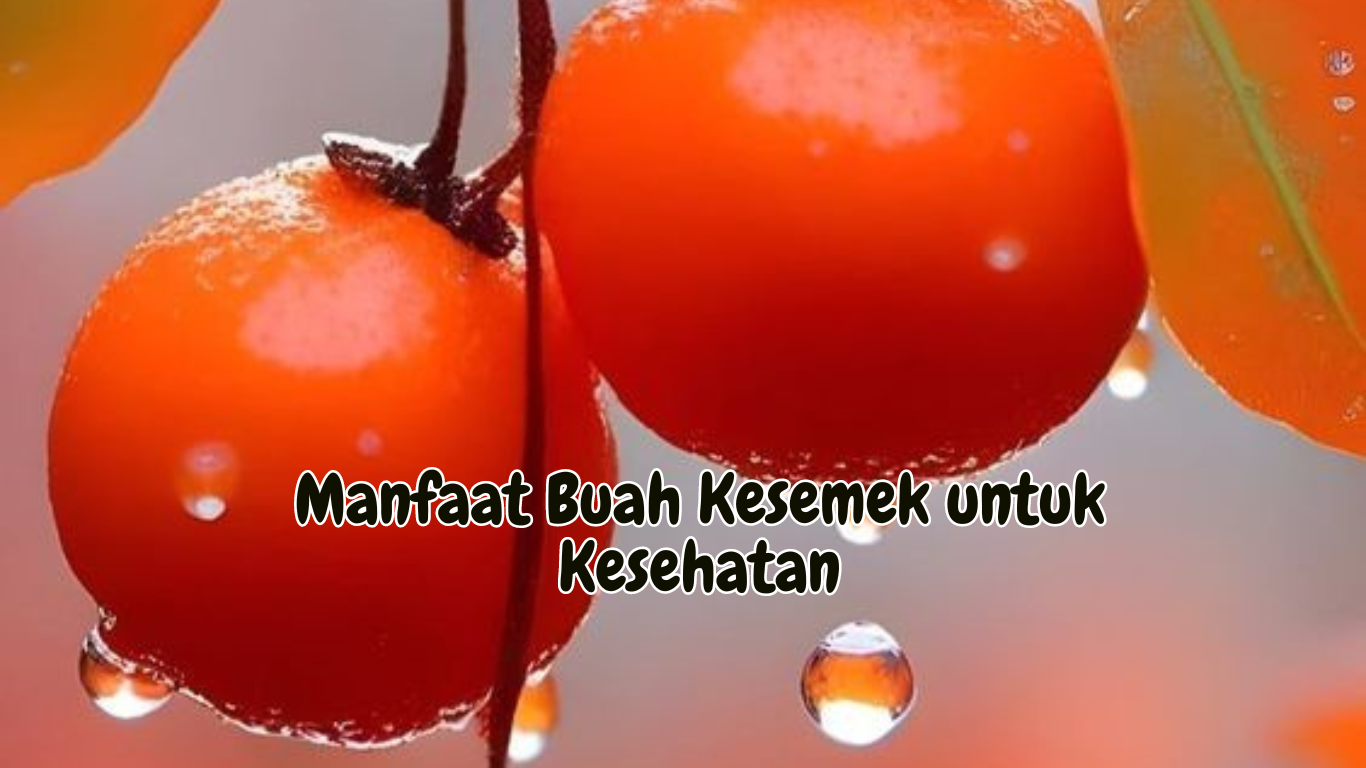 Manfaat Buah Kesemek untuk Kesehatan