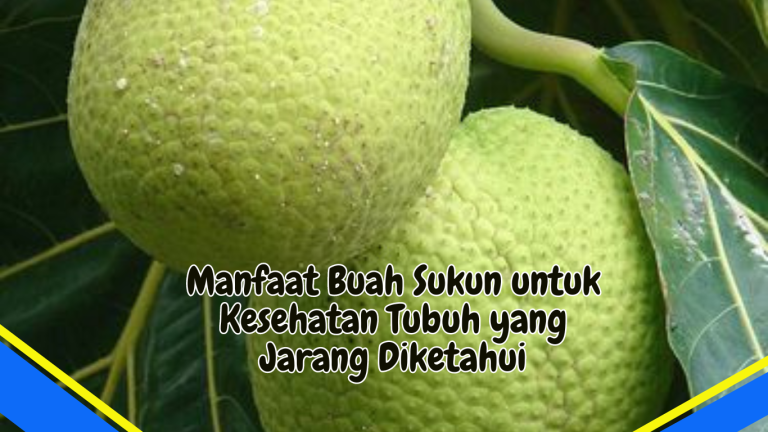 Manfaat Buah Sukun untuk Kesehatan Tubuh yang Jarang Diketahui 1 1