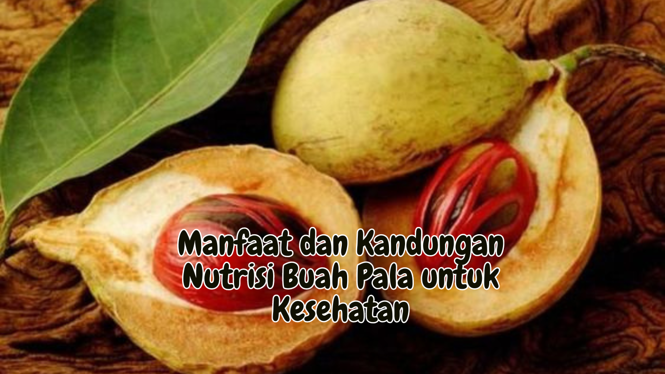 Manfaat dan Kandungan Nutrisi Buah Pala untuk Kesehatan