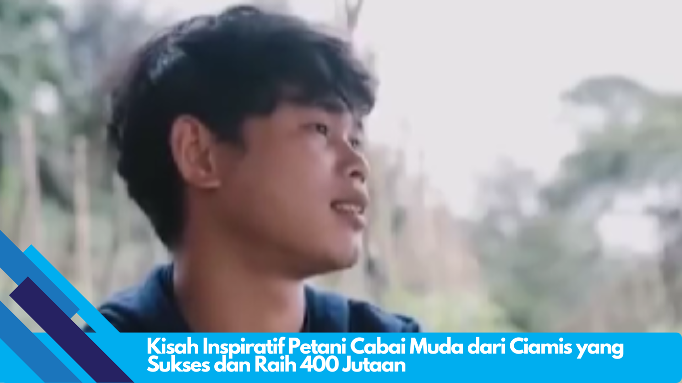 Kisah Inspiratif Petani Cabai Muda